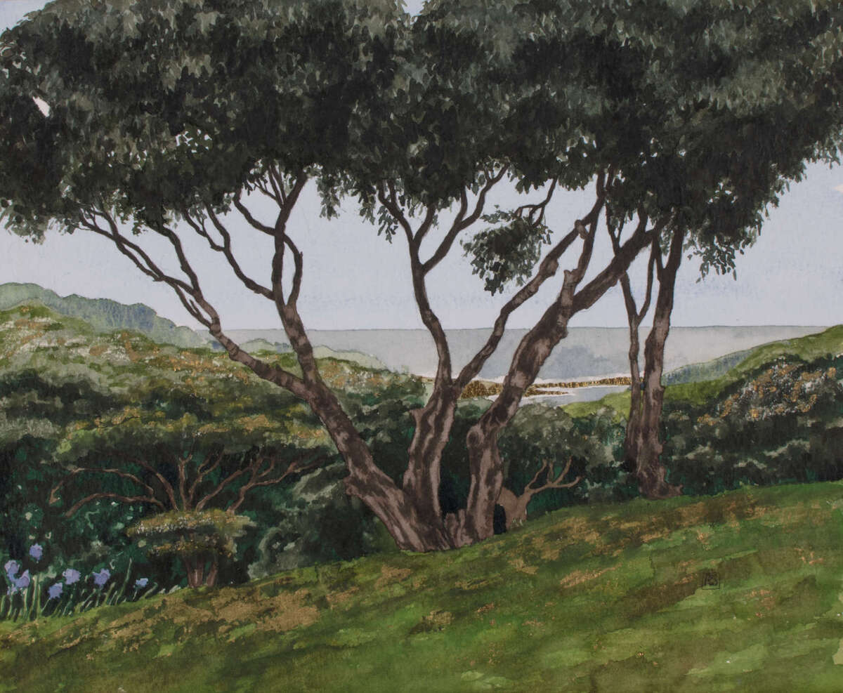 Tree lined view from Khululeka Retreat looking over the mouth of the Ntafufu River