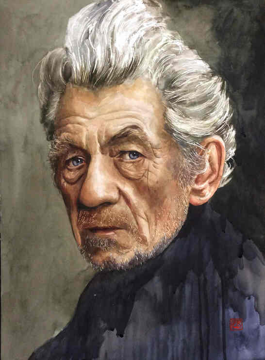 Sir Ian McKellen