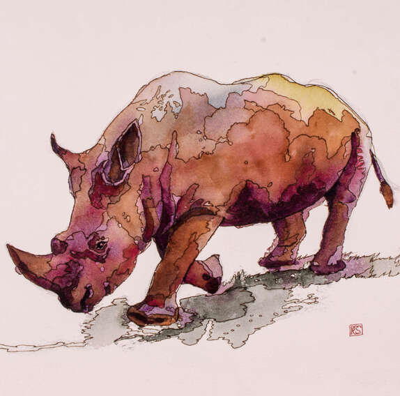 Rhino