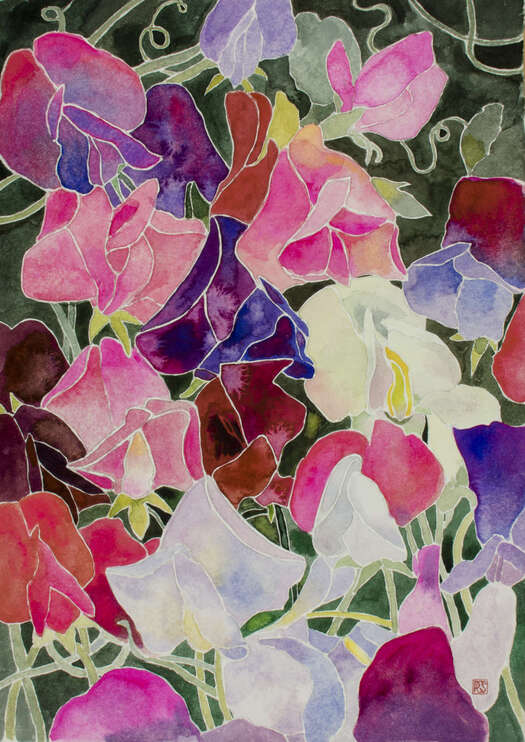 Sweetpeas