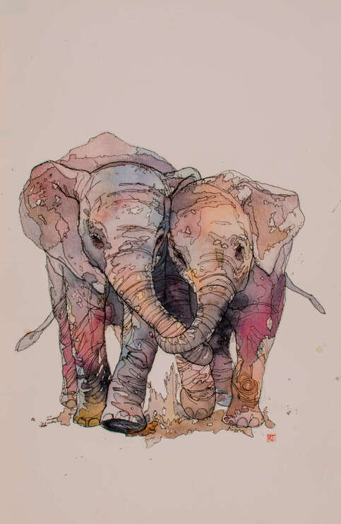 Baby Elephants